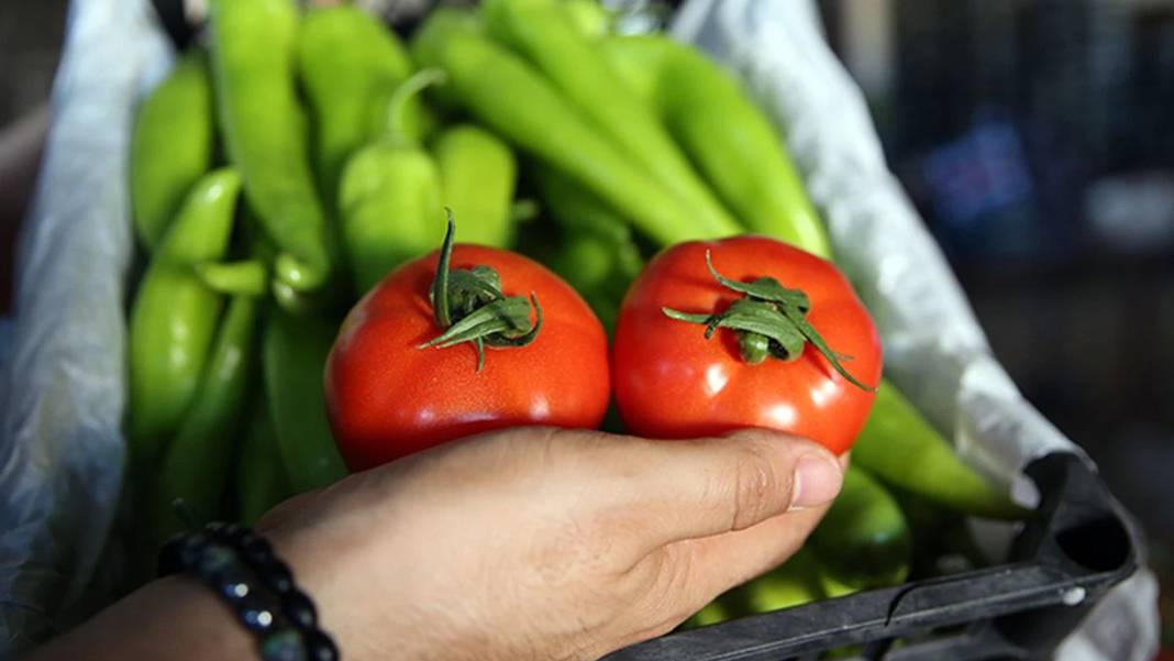 Avrupa kapılarını Türkiye’ye kapattı: Pestisit ihlalinde dünya ikincisiyiz